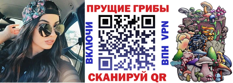 блэк спрут как зайти это Telegram Галлюциногенные грибы MAGIC MUSHROOMS Ирбит